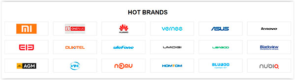 Chinese brands