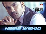 Hariye Fela Bhalobasha Lyrics (হারিয়ে ফেলা ভালোবাসা গানের লিরিক্স)  By Habib Wahid