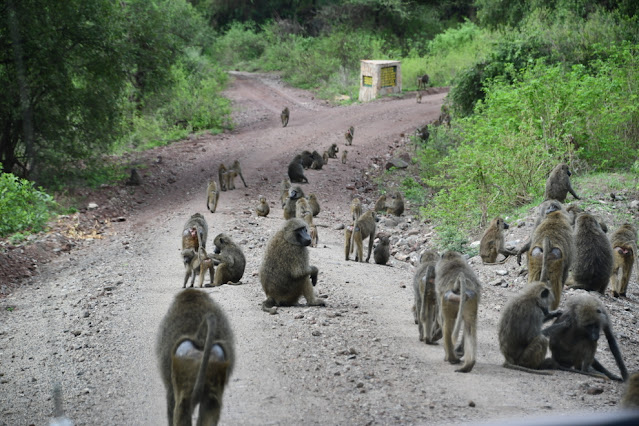 Lake Manyara