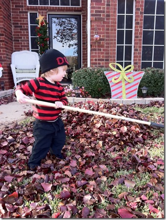 raking
