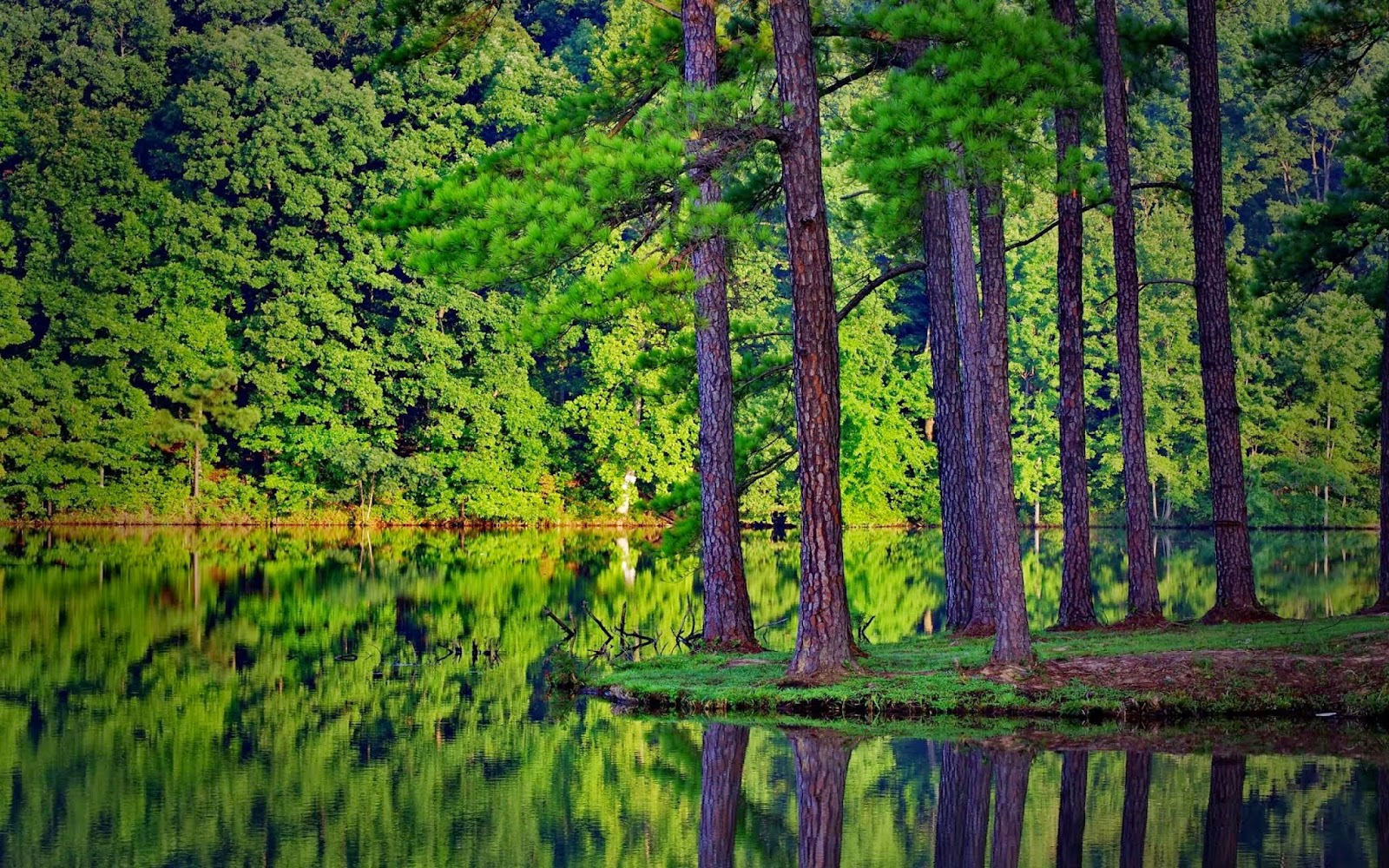 Banjosa Lake, Rawalakot, Pakistan 5 Best Places To Discover In Pakistan