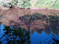 Llac Mitjà o de la Pepa vist des de l'est