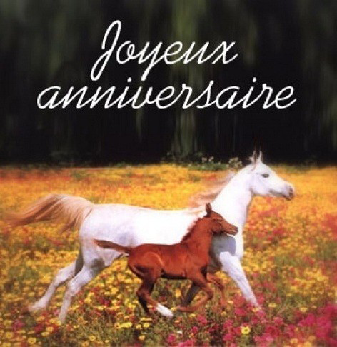 carte anniversaire yves