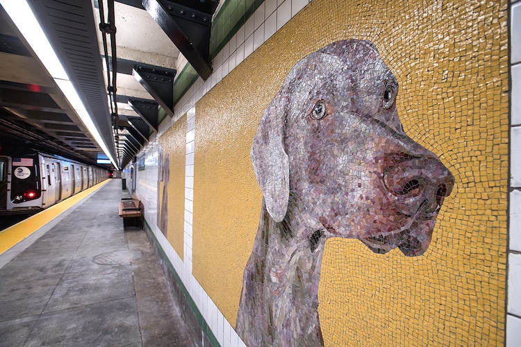 Artist Redesigns NYC Subway Station With Colorful Dog Mosaics