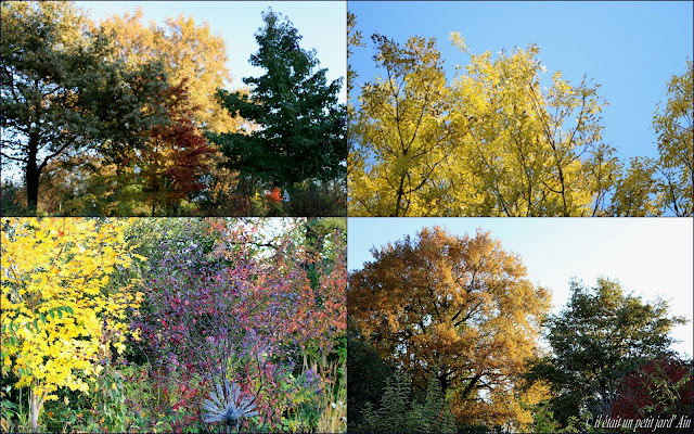 couleurs du jardin en automne