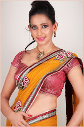 Bikini Actress Gallery on Flownik Com Sanjana Singh Latest Hot Navel In Saree