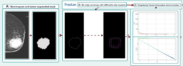 Fractal dimension extraction workflow.