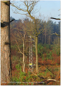 electricity pylons, National Trust Devil's Punch Bowl, Surrey Hills