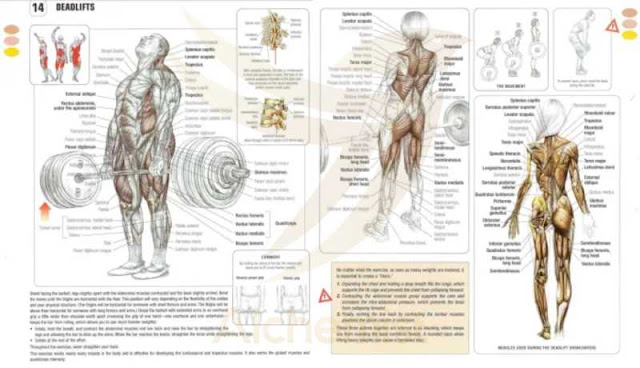 muscle mass,muscle,building muscle mass,build muscle,gain muscle mass,gain muscle,muscles,how to gain muscle,mass class,muscle loss,how to build muscle,lean muscle mass,build muscle fast,muscle growth,loss of muscle mass,100% pure muscle mass,formulas for lean muscle mass,mass,muscle matters,grow bigger muscles,gain muscle fast,body mass index,vegan muscle,lose muscle gains,avoid muscle loss,muscle health,lean mass,strength,greatest strength,what is your greatest strength,what are your strengths,strength workout,strength training,what are your greatest strengths,what is your greatest strength answer samples,what are your strengths interview question,strength program,what are your strengths and weaknesses,yoga for strength,jujutsu kaisen 0 greatest strength lyrics,at home strength workout,strength program for beginners,greatest strengths,greatest strength 呪術廻戦