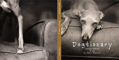 dog photographer sharon montrose