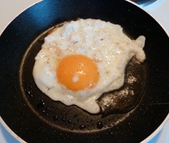 2013-egg1