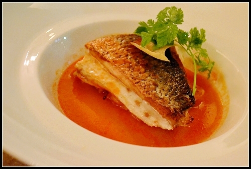 Ornina - mediterranean sea bass on crispy saffron rice and seafood sauce photo Ornia02_zpse8c28068.jpg
