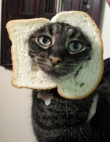 breading