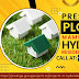 Prestige Plots Mamidipally | Newly Launched Property Offer in Hyderabad