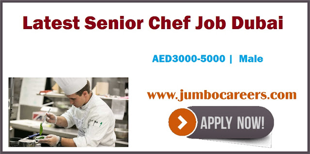 Senior Chef Job Dubai 