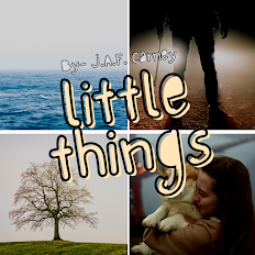 little things full poem,what are the little things mentioned in the poem,little things poem stanza explanation,little things poem summary,little things poem central idea,