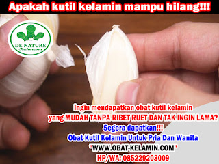 Obat Kutil Kelamin