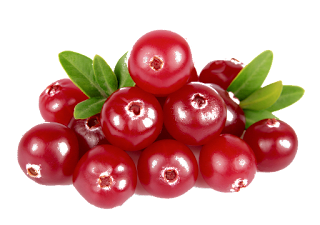 Cranberry