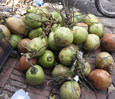 ベトナムのココナッツ