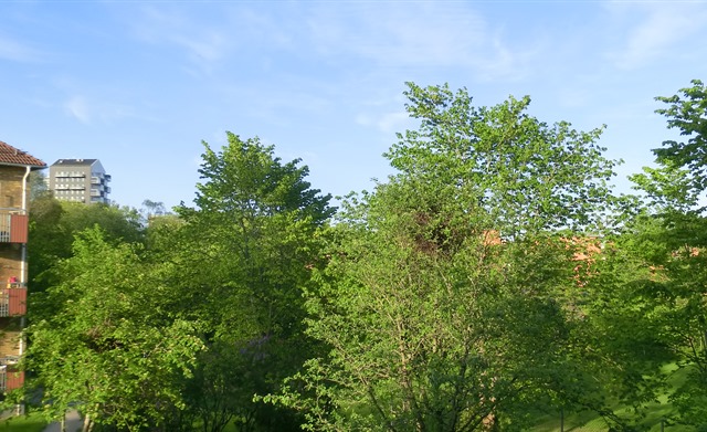 CIMG4469