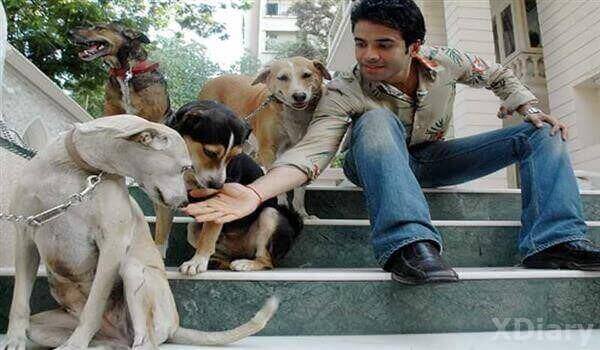 Tusshar-Kapoors-Dogs-XDiary