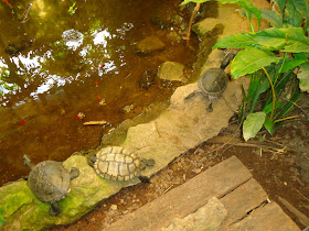 Zoos in Brandenburg und Berlin Zoo Eberswalde