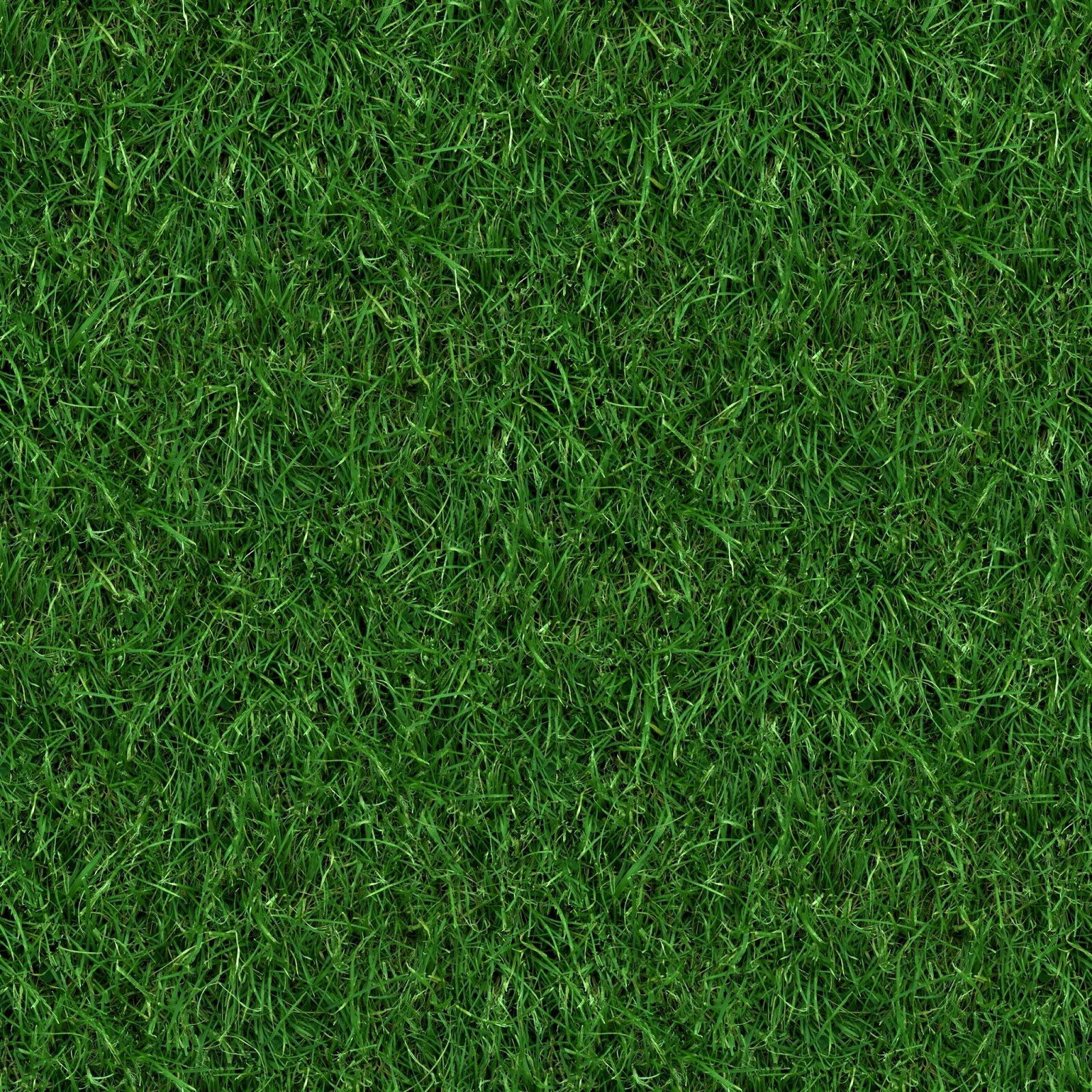 High Resolution Seamless Textures: (GRASS 4) seamless turf lawn green
