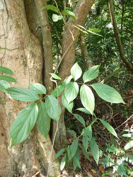 P1020543