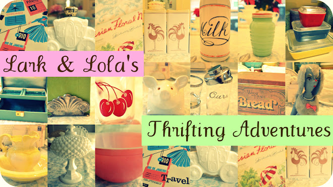 Lark & Lola's Thrifting Adventures