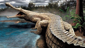 Sarcosuchus imperator