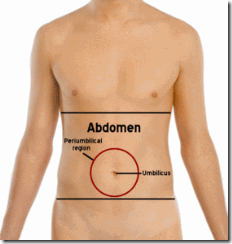 abdomen