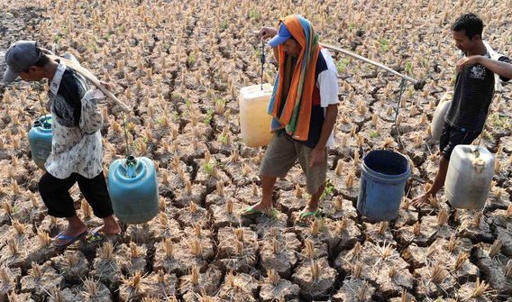 Tiga Desa di Cirebon Diprediksi Tak Bertemu Hujan Lebih Dari 80 Hari
