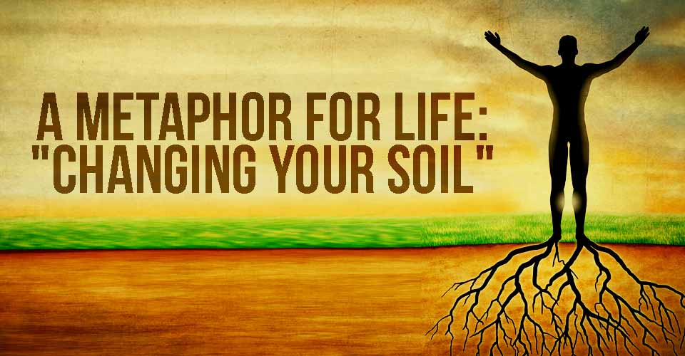 A Metaphor For Life: 'Changing Your Soil'