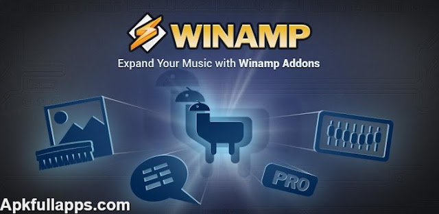 Winamp Pro v1.4.9