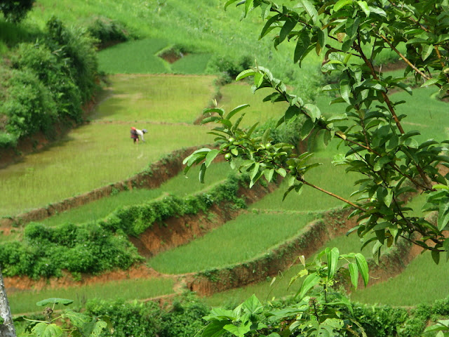 Travel Vietnam Blog
