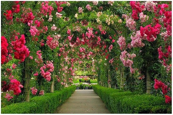  Taman  Bunga  Paling Cantik  Di Dunia Butchart Gardens