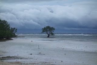 bord de mer .. nord est de Siquijor