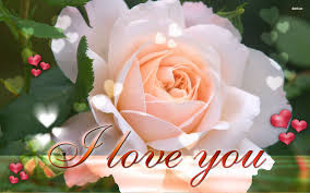 latest hd I love you images photos wallpaper for free download  17