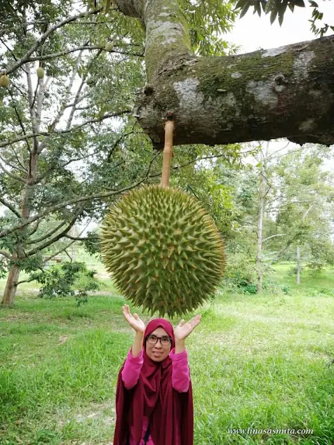 Citra Kebun Wisata Batam