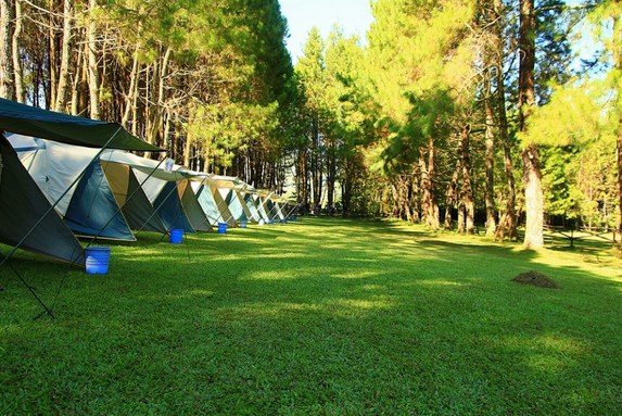 Pine Forest, salah satu tempat wisata kemah di bandung
