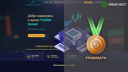 Кандидаты: Tradex Invest – 12,4% чистой прибыли за 6 дней!