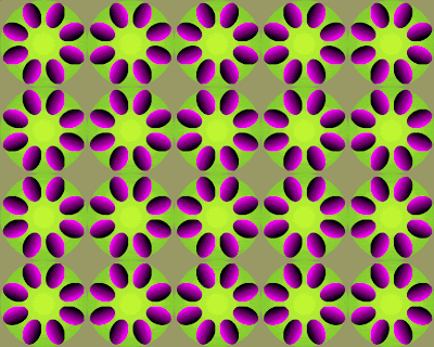 Moving Flower Illusion