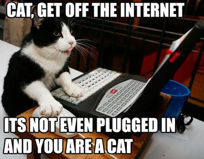 funny cats pics with words. Never have truer words been