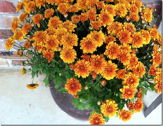 porch_1