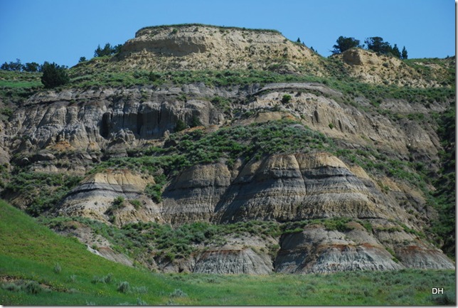 07-03-13 A Teddy Roosevelt NP North (36)