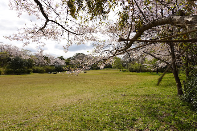 鳥取県米子市福市　福市遺跡公園