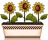 gbikidz15_flowers013