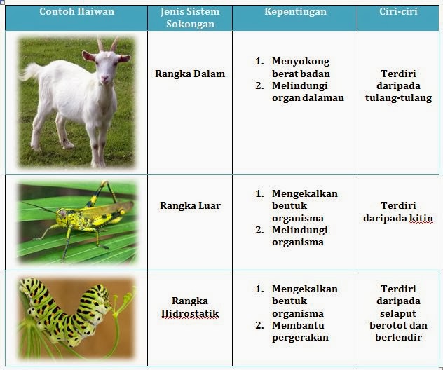 Blog PBS Sains SMK Air Tawar Pembelajaran Kolaboratif 