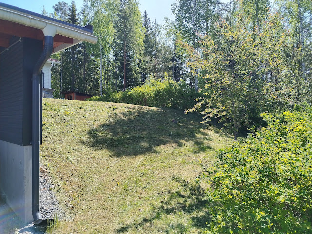 Tampereen #Ruohonleikkauspalvelu #nurmikonleikkaukset #Tampere #Ylöjärvi #Pirkkala Nokia #pihatyöt #talonmiespalvelu@gmail.com 1.6.2025 kuva33