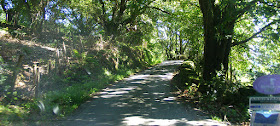 Descending a narrow road in Navarre, Spain.  Indre et Loire, France. Photographed by Susan Walter. Tour the Loire Valley with a classic car and a private guide.